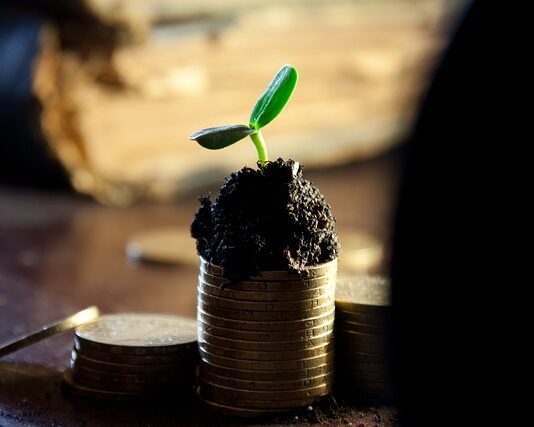 Ile wynosi dywidenda Coca Coli?