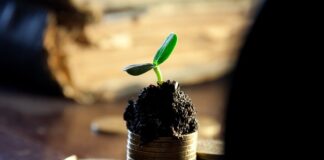 Kiedy wypłata dywidendy PKN Orlen?